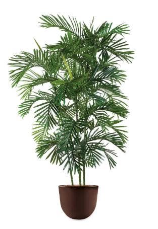 Areca Palm kunstplant, H140cm, Huis en Inrichting, Ophalen of Verzenden, Palm, 150 tot 200 cm