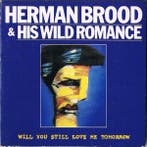 3 inch cds - Herman Brood &amp; His Wild Romance - Will Y..., Verzenden, Zo goed als nieuw