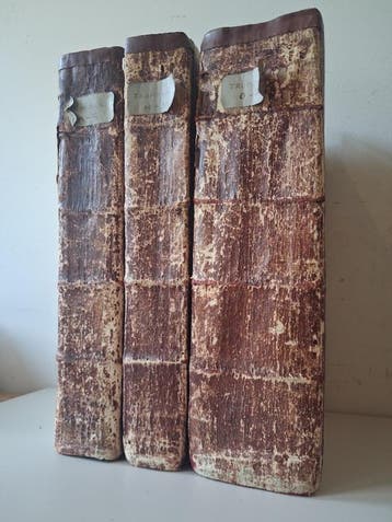 Trommium, Abrahamum-Volkomene Nederlandsche Concordantie, Boeken, Verzenden, Gelezen