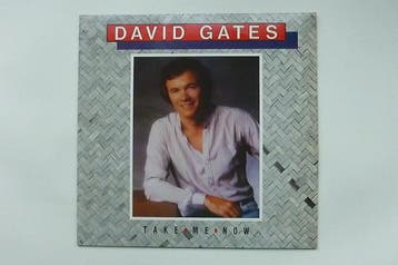 David Gates - Take me now (LP)ariola, Ophalen of Verzenden, Zo goed als nieuw