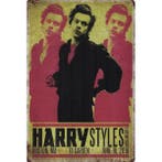 Wandbord Concert Bord - Harry Styles Live On Tour 2018, Ophalen of Verzenden, Nieuw, Poster, Artwork of Schilderij