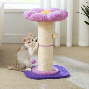 Bloem Krabpaal –Compacte Kattenboom met Sisalpaal en Speelba, Verzenden, Nieuw