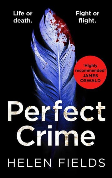 Perfect Crime - Helen Fields 9780008275204, Verzenden, Gelezen, Helen Fields