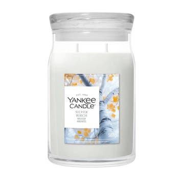 Yankee Candle Silver Birch Large Jar - 567gr, Ophalen of Verzenden, Nieuw, Overige typen