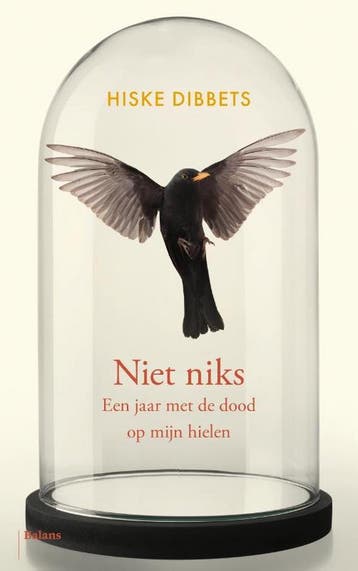 Niet niks - Hiske Dibbets 9789463822657, Verzenden, Zo goed als nieuw, Hiske Dibbets