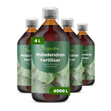 Philodendron Vloeibare meststof - Set 4x1 liter, Verzenden, Mest