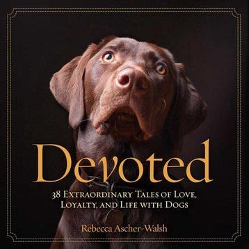 Devoted - Rebecca Ascher Walsh 9781426211584, Verzenden, Gelezen, Rebecca Ascher Walsh