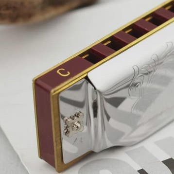 Professionele 10-Gats C-Toon Diatonische Mondharmonica - Zil, Muziek en Instrumenten, Verzenden, Nieuw