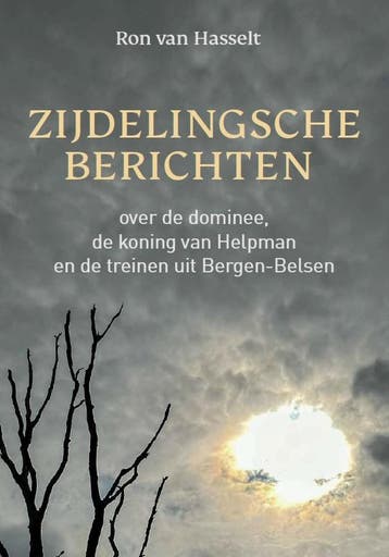 Zijdelingsche Berichten | Ron Hasselt | Nieuw, Ophalen of Verzenden, Nieuw, Ron Hasselt