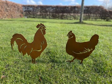 Tuinbeelden | 100+ dieren | Cortenstaal &amp; zwart, Nieuw, Metaal