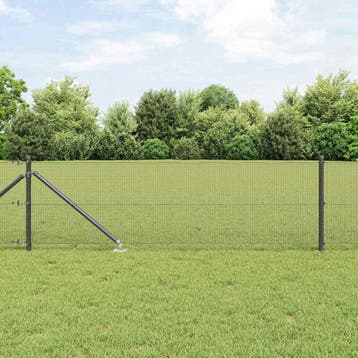 vidaXL gelast draadhek met grondpennen 100 x 0,6 m, Verzenden, Nieuw, IJzer