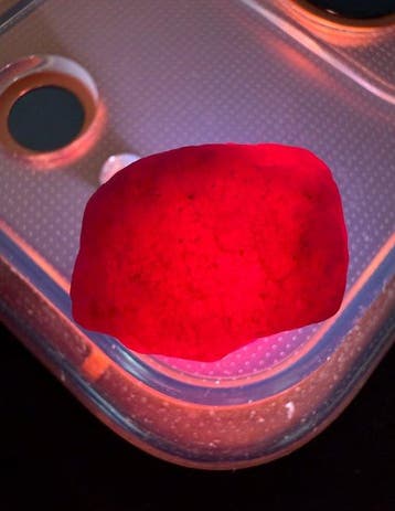Robijn Prachtige Pigeon Blood Robijn! 25,60 ct. Mozambique,