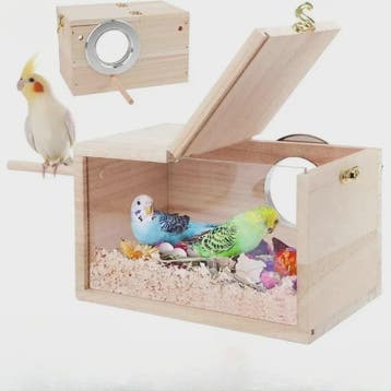 Houten Nestkast voor Parkieten & Valkparkieten met Transpara, Dieren en Toebehoren