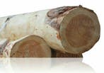 Douglas rondhout palen geschild | Diameter 20/25 cm, Leng..., Doe-het-zelf en Verbouw, Hout en Planken, Verzenden, Nieuw