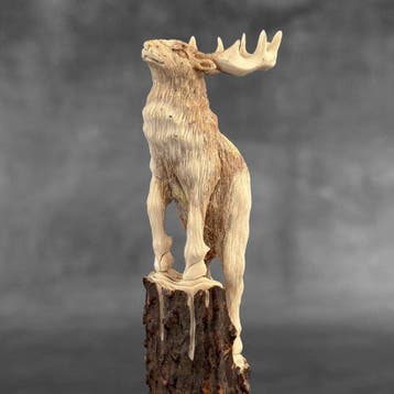 Snijwerk, NO RESERVE PRICE - A Moose Carving from a Deer