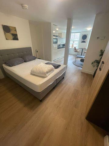Te huur: Appartement Jansstraat in Haarlem, Noord-Holland, Appartement, Haarlem