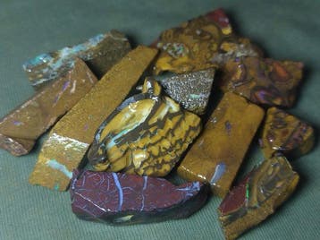 218 ct - 11 Australische Boulder-Opalen Ruw - Veelkleurig!-, Verzamelen