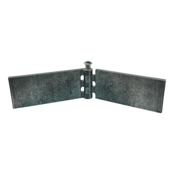 Novio Recht portierscharnier met rvs pen 50 x 120mm, Ophalen of Verzenden, Nieuw