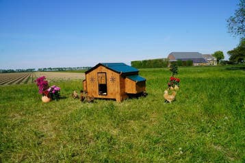 Volledig Cocciolotta Trespa Assortiment op Voorraad, Ophalen of Verzenden, Nieuw, Kippenhok of Kippenren