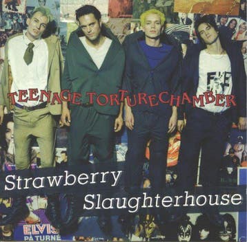cd - Strawberry Slaughterhouse - Teenage Torturechamber, Verzenden, Zo goed als nieuw