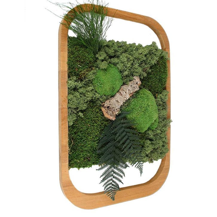 Vintlux Mosschilderij 40x60 cm Eiken Naturel - Sandvik, Huis en Inrichting, Woonaccessoires | Wanddecoraties