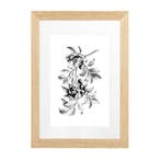 Vintlux Fotolijst Vesterby Massive Dubbelglas - Eiken Ongel, Nieuw