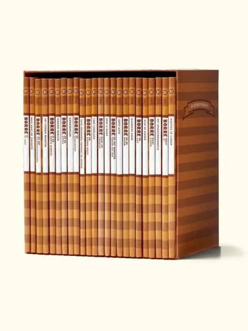 Complete Groep 2 Borre verzamelcassette (24 boeken) - Heel, Verzenden, Nieuw