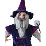 Grijze magier pruik met baard - Herenpruiken, Ophalen of Verzenden, Nieuw