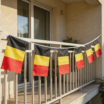 Belgische Slingervlaggetjes - 20 Stuks - 5.5 Meter - Feestde, Verzenden, Nieuw