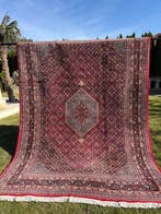 Unique Indo Bidjar - Tapijt - 350 cm - 250 cm, Nieuw