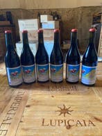 2024 Cascina Fontana di Fontana Mario, Dolcetto dAlba -, Nieuw