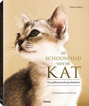 De schoonheid van de kat - Tamsin Pickeral 9789089984203, Verzenden, Zo goed als nieuw, Tamsin Pickeral