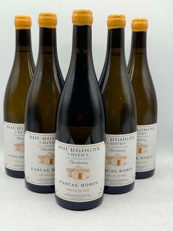 2024 Pascal Robin Bourgogne Coteaux de Chitry - Bourgogne, Nieuw