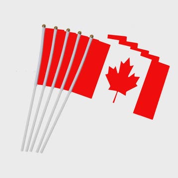 5x Canadese Vlaggetjes met Stokje - 14x21cm Mini Canada Vlag, Verzenden, Nieuw