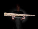 GEEN MINIMUMPRIJS - Een grote gecarveerde zwaardvisslagtand, Antiek en Kunst