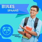 Spaans Bijles in Amsterdam - Boek nu je proefles!, Privéles, Examen- of Scriptiebegeleiding