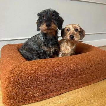 Buddy Beds Golden Teddy Hoes - Hondenmand Hoes - Zacht Teddy, Ophalen of Verzenden, Zo goed als nieuw