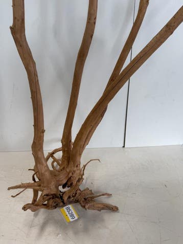 Boutique Stump Selected BS289 - 110x57x46cm, Ophalen of Verzenden, Nieuw, Plant(en), Steen of Hout