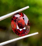 Zonder minimumprijs Rood, Oranje Granaat, Spessartiet - 5.50, Nieuw
