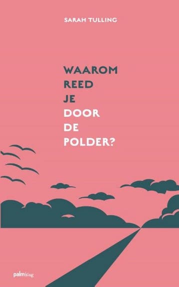 Waarom reed je door de polder? - Sarah Tulling 9789493245518, Verzenden, Gelezen, Sarah Tulling