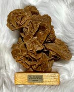 woestijnroos Ruw - Hoogte: 16 cm - Breedte: 13 cm- 817 g -