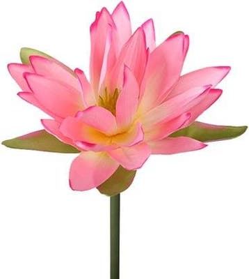 Real Touch Waterlelie Pink per stuk, Ophalen of Verzenden, Nieuw
