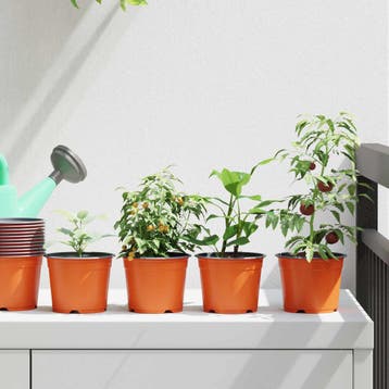 vidaXL Ronde Bloempot 100 st Terracotta Ø 10 x 8 cm, Tuin en Terras, Bloembakken en Plantenbakken, Kunststof, Minder dan 30 cm