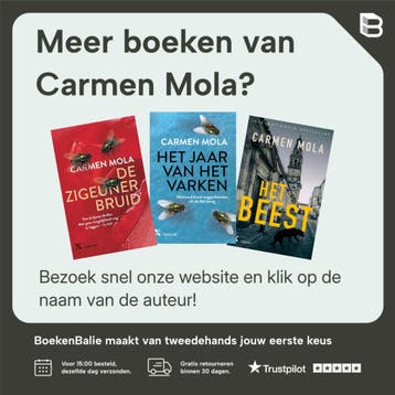 Het duistere net / Elena Blanco / 2 - Carmen Mola, Verzenden, Gelezen, Carmen Mola