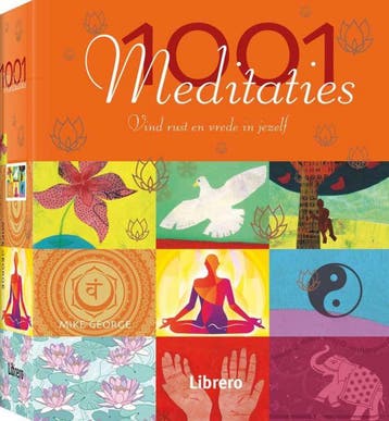 1001 meditaties - Mike George 9789089985446, Boeken, Verzenden, Gelezen, Mike George