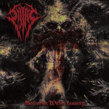 cd - sijjeel - SALVATION WITHIN INSANITY (nieuw), Verzenden, Zo goed als nieuw