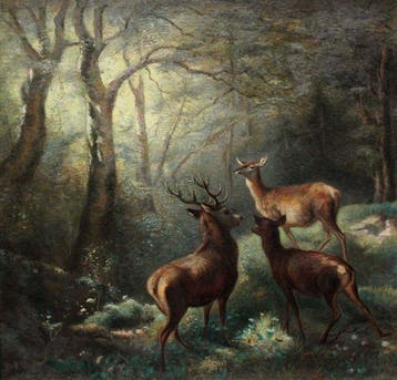 Franz Xaver von Pausinger (1839-1915) - Deer family in the