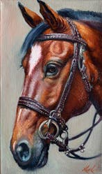 BarBeni (1981) - Noble Horse Portrait