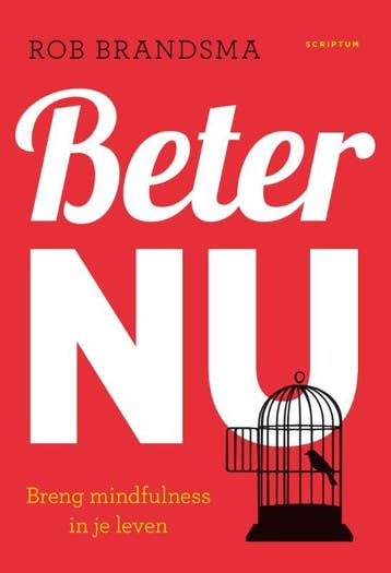 Beter nu - Rob Brandsma 9789055949571, Boeken, Verzenden, Gelezen, Rob Brandsma