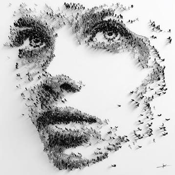 David Law - Community Face